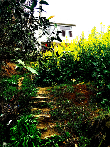 �l(xi��ng)�gС��