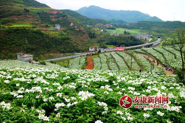 ꐘs��  �z.jpg