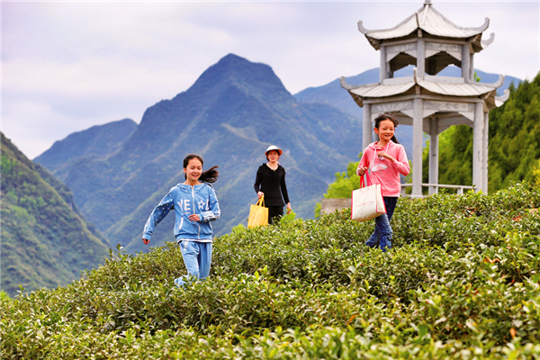 �����ں��dʯȪ���M�D��