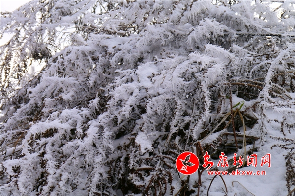 �x�Ƿ��A�M�D