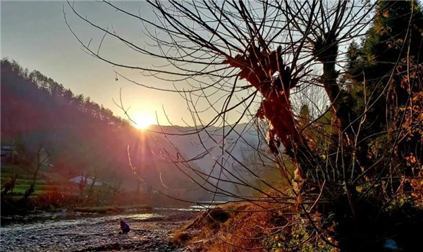 �����е��Ͽh�������M�D��