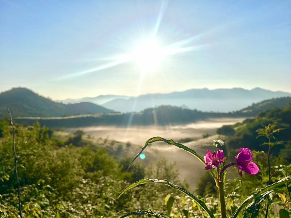 ��ꖲݵ��L(f��ng)����