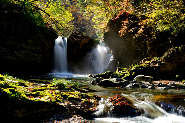 ��Ⱦ����ǧ�Ӻ�