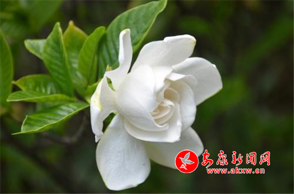 ���(l��i)�E��ɽ�^�^ �d�ӻ��_�MԺ��