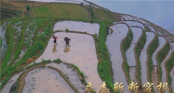 ȫ����Óؚ����(ji��n)����(y��u)��o(j��)�Ƭչ�����μ�ӰƬ�R����־��ؚ����