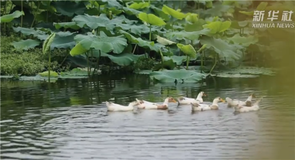 ȫ����Óؚ����(ji��n)����(y��u)��o(j��)�Ƭչ�����μ�ӰƬ�R�����Һ��ҵ��H�ˡ�