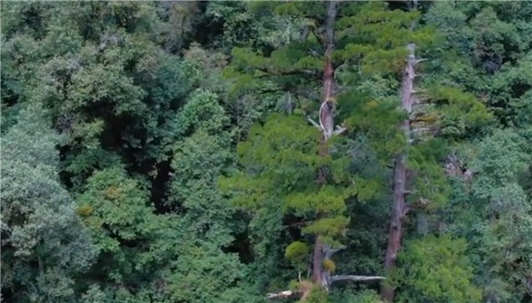 ȫ����Óؚ����(ji��n)����(y��u)��o(j��)�Ƭչ��������Խŭ������������ؓ(f��)��ɽ