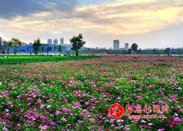 �����������ǖ|�^(q��)����ȥ