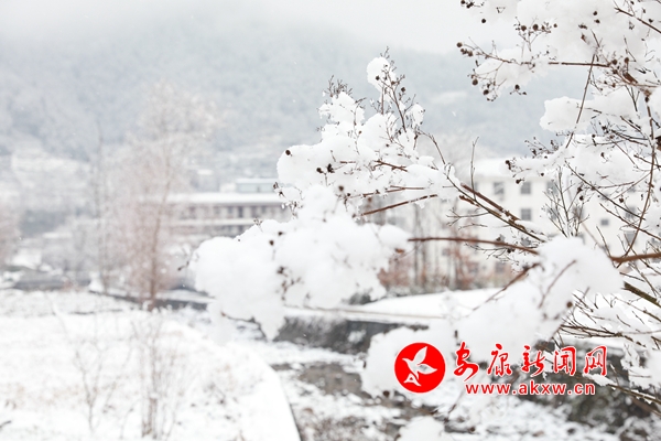 ��ѩС�(zh��n)�����C