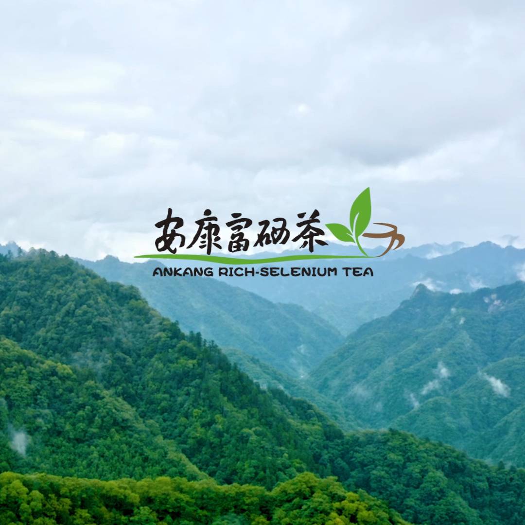 ��������������Ƭ��