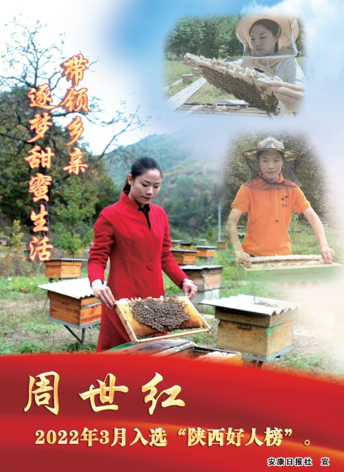 ���I(l��ng)�l(xi��ng)�H ������������