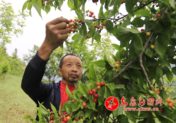 ���޿h�����ҡ�ӳ�t�����������¸�·