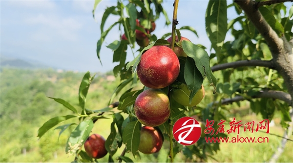 ���ĕr(sh��)��(ji��) �Ϲ��h��