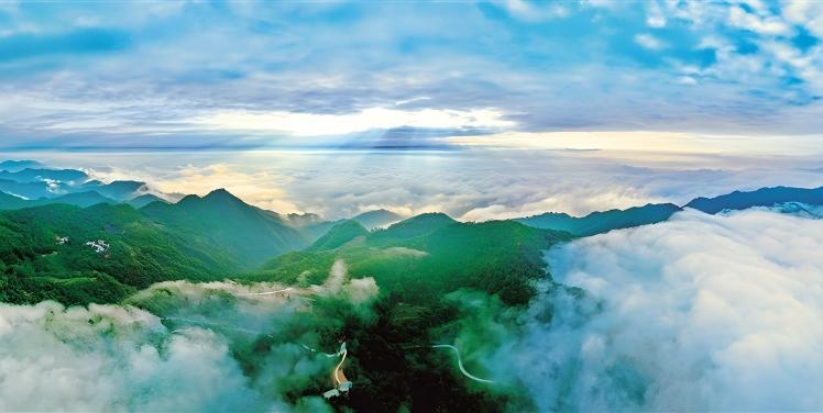 ����ƺ����^