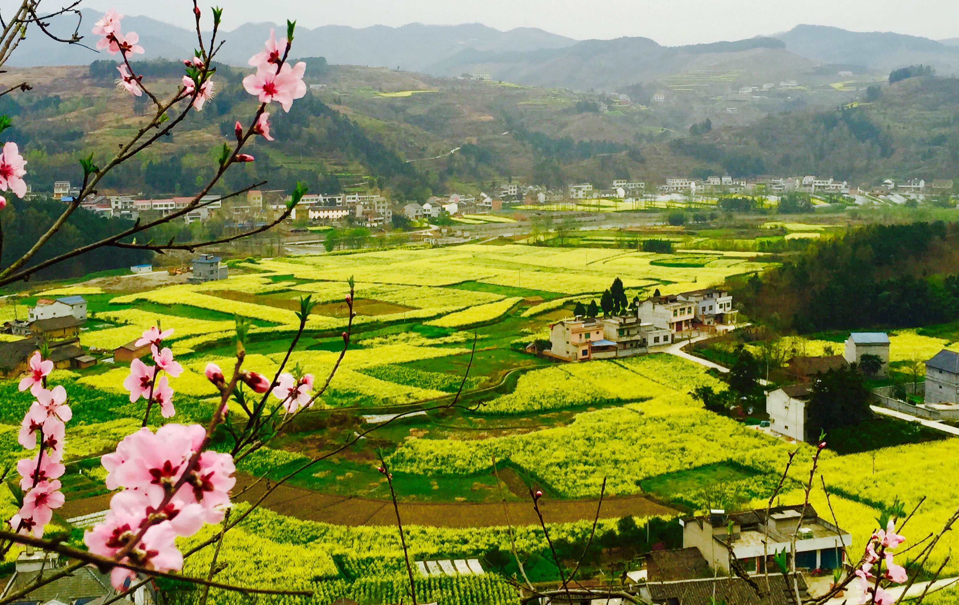 �������S����p����