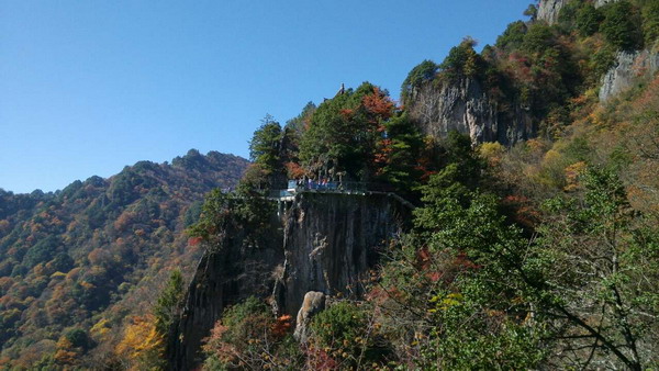 �棬�U(xi��n)