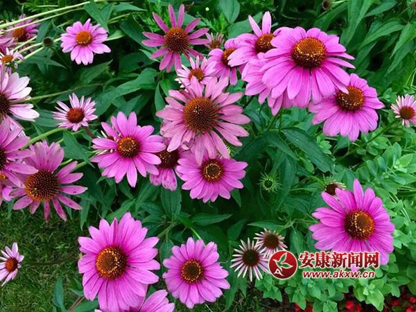 ������(j��ng)�_�Ҹ���