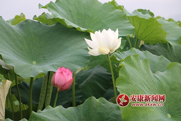 ���N(y��n)