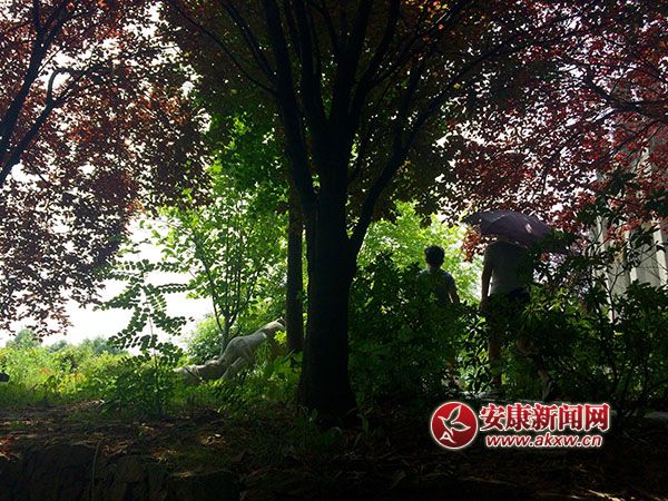 ���g��Ӱ-孺�