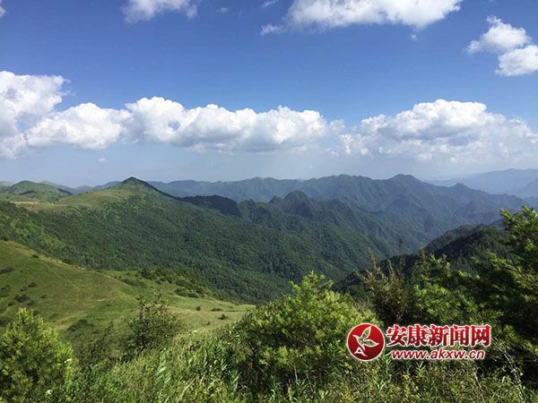 ƽ�����(y��ng)��ݵ�