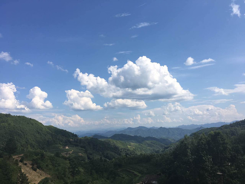 �hꎣ�����ǵ��{�ĺ�,΢����i��