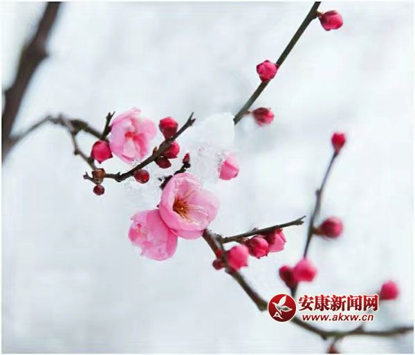 ���L(zh��ng)�L�w���������l(shu��)��һ���փɰ���