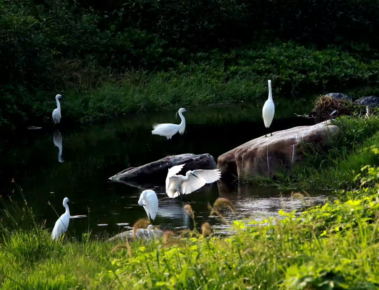 ��ɽ��ˮ���L��