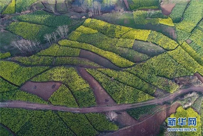 �������hꎽ�ɫ�Ͳ˻���