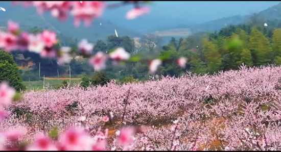 �����g�һ���ˮɫ�׺ӡ������Ļ���(ji��)����Ƭ